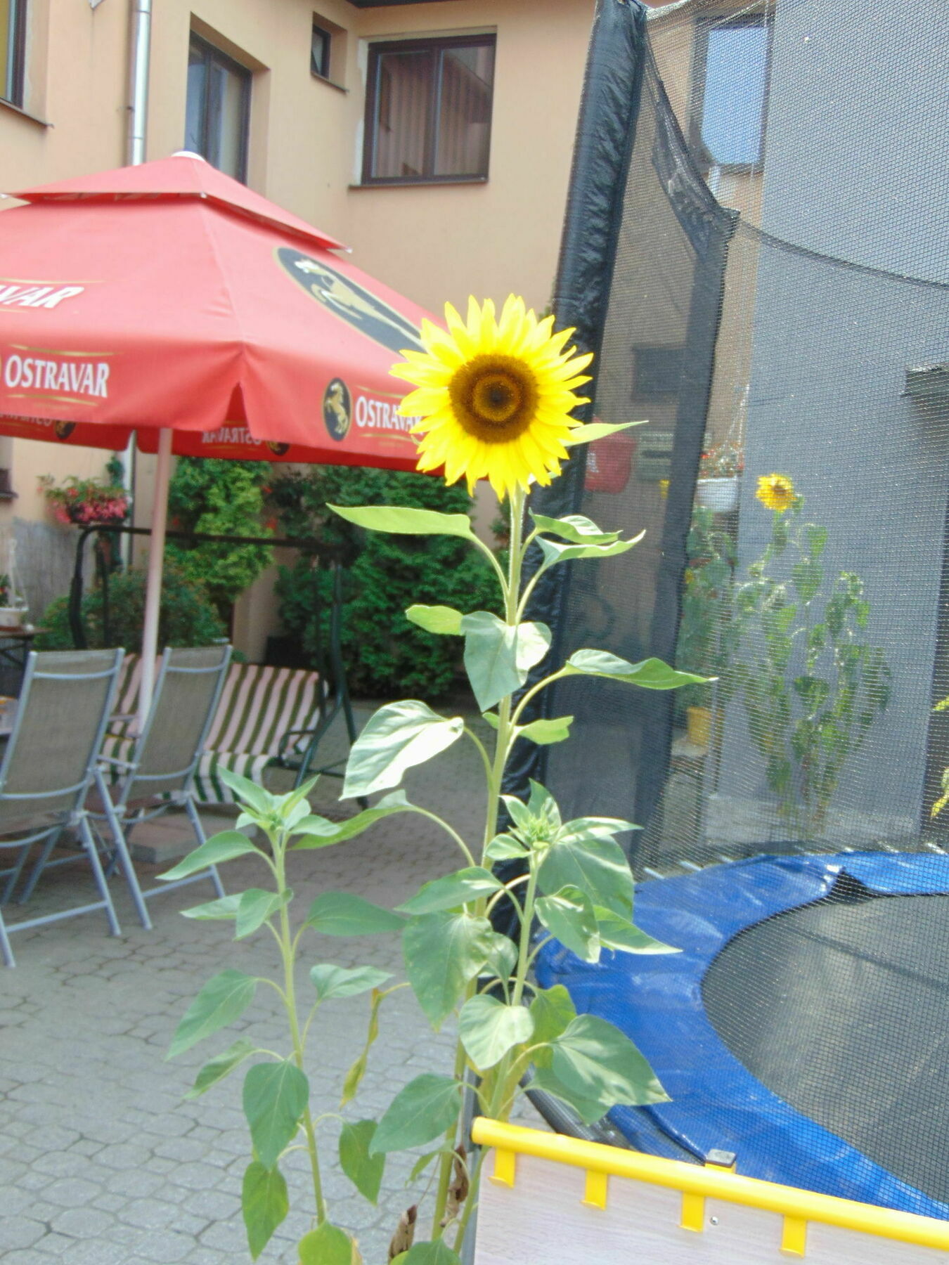 Hotel Isora Ostrava Dış mekan fotoğraf